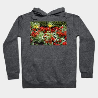 Mostly Primulas Hoodie